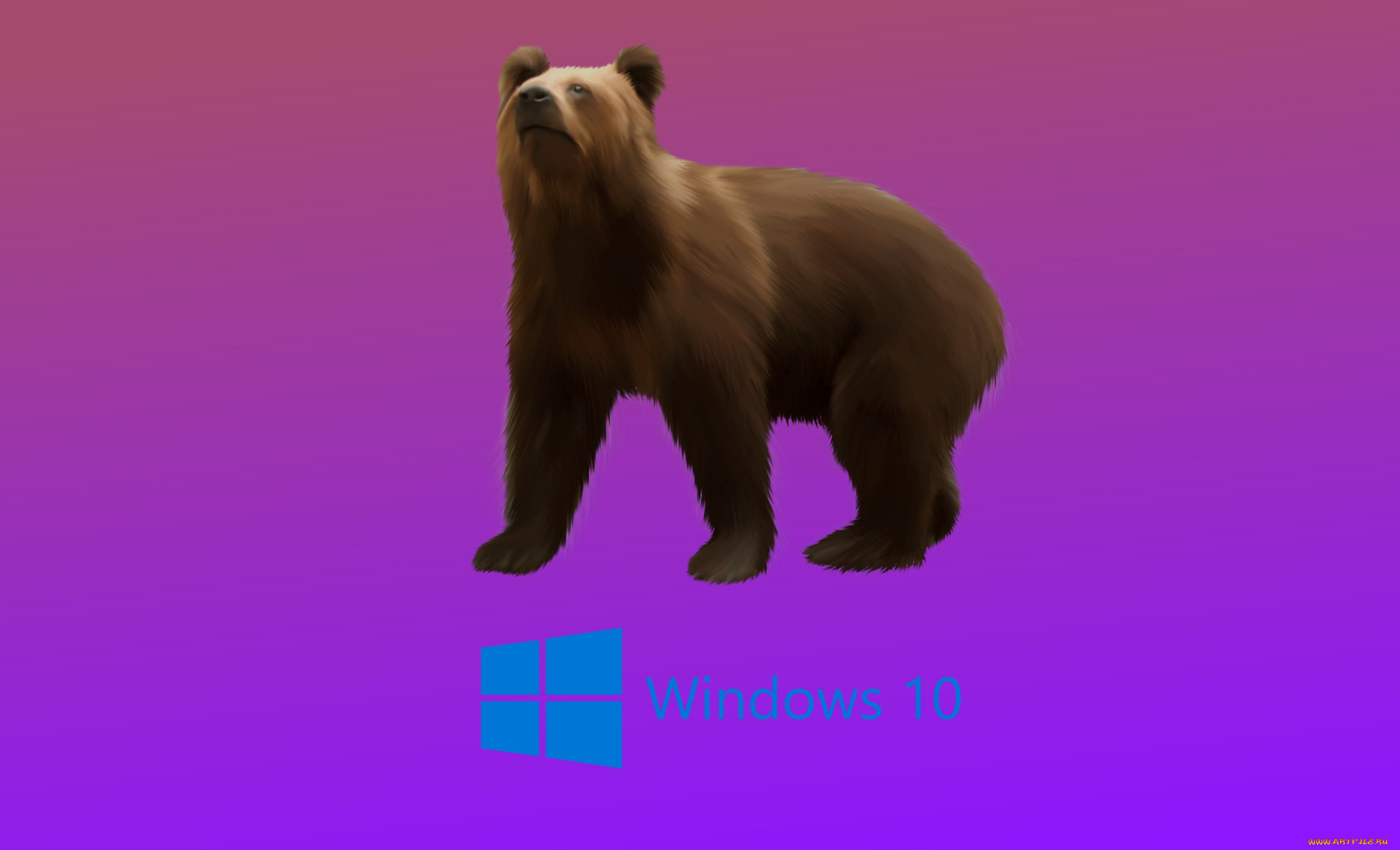 ����������, windows  10, �������, ���